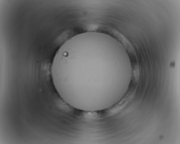 X0000102530525200808221908