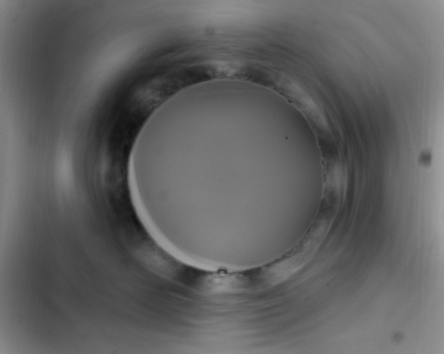 X0000102530526200808221908