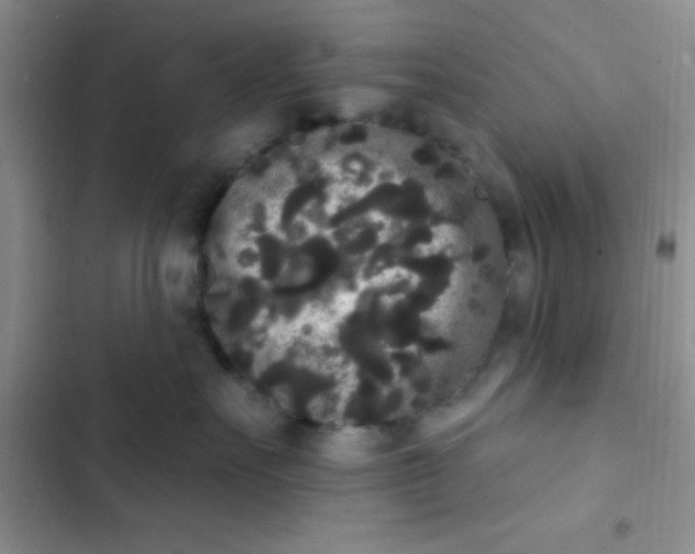 X0000102530527200808221908