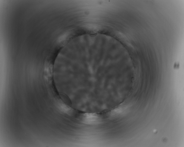 X0000102530528200808221908