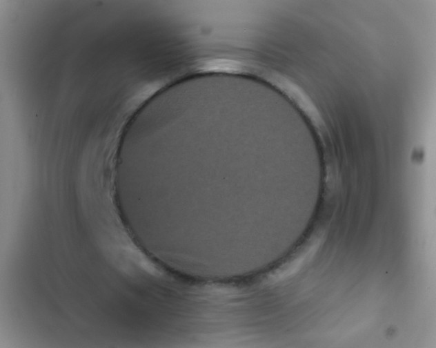 X0000102530529200808221907