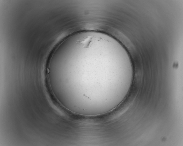 X0000102530530200808221907