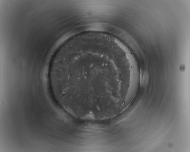 X0000102530531200808221907