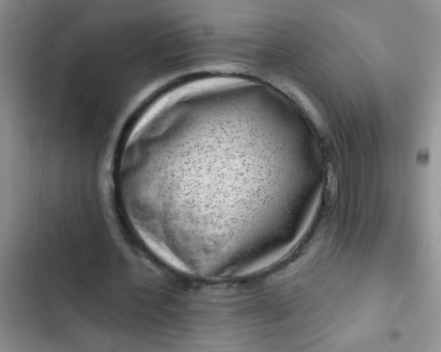 X0000102530532200808221907