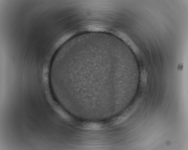 X0000102530533200808221907