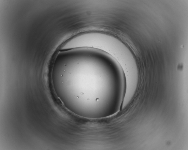 X0000102530534200808221907