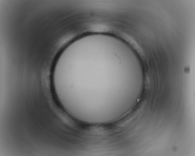 X0000102530535200808221907