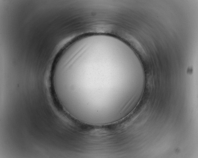 X0000102530536200808221907