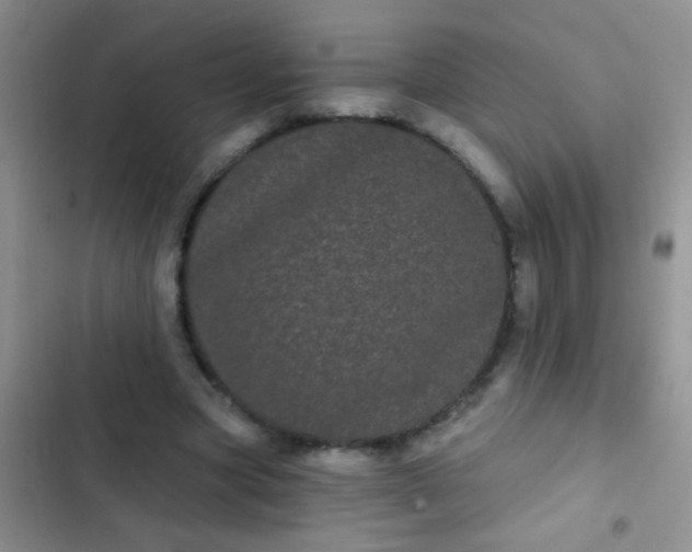 X0000102530537200808221907