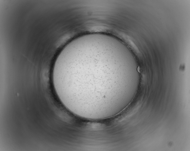 X0000102530539200808221907