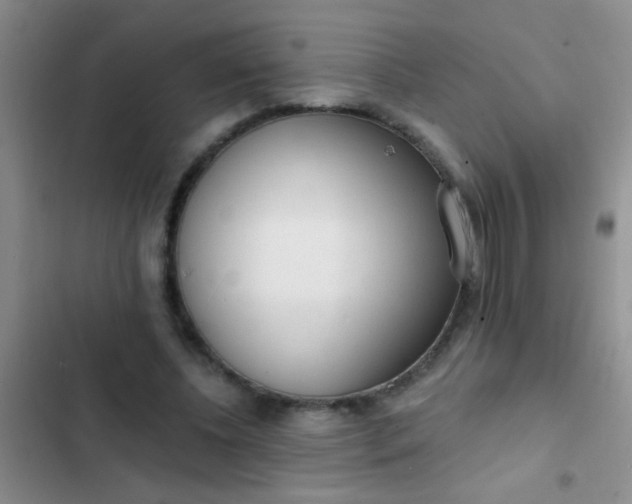 X0000102530540200808221907