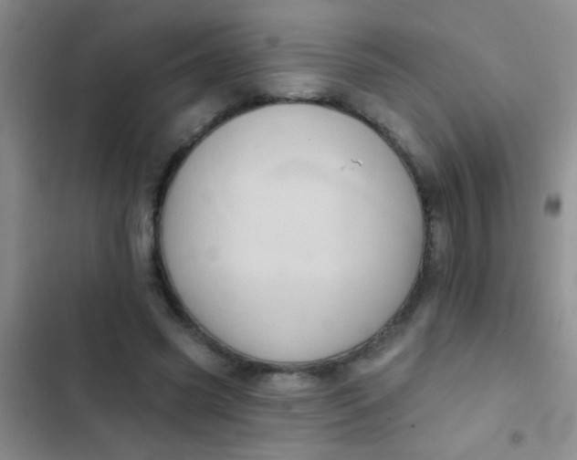 X0000102530541200808221907