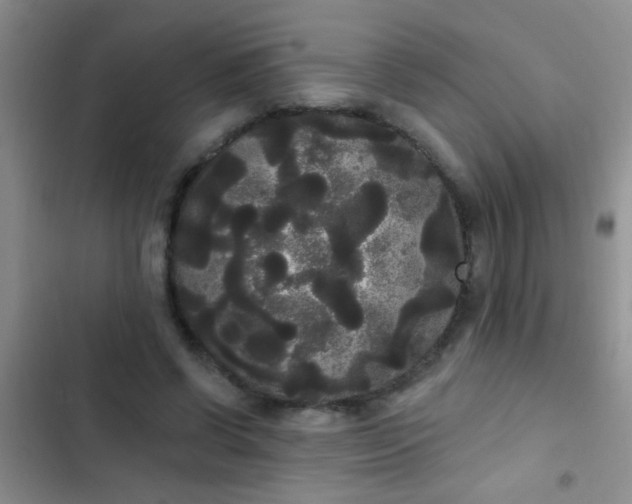 X0000102530542200808221907