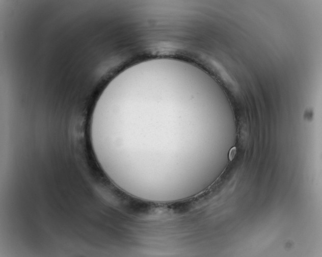 X0000102530543200808221907