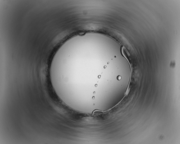 X0000102530544200808221907