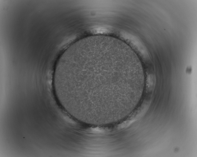 X0000102530545200808221907