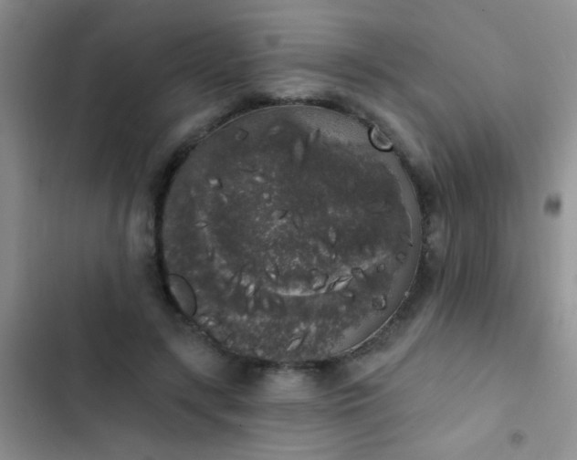 X0000102530547200808221907