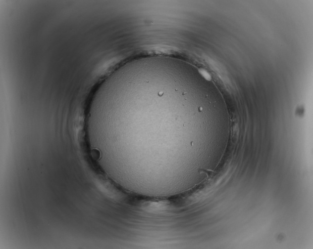 X0000102530548200808221907