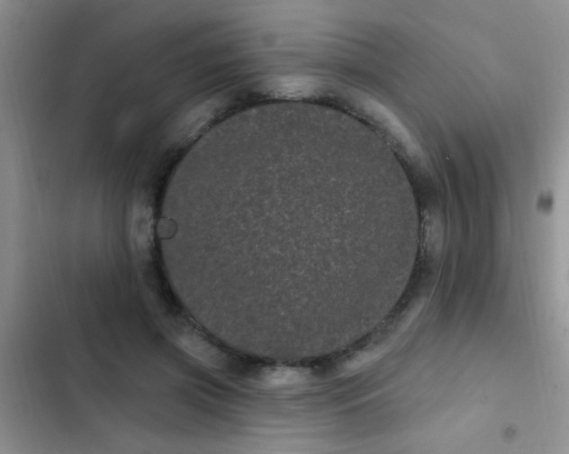 X0000102530549200808221907