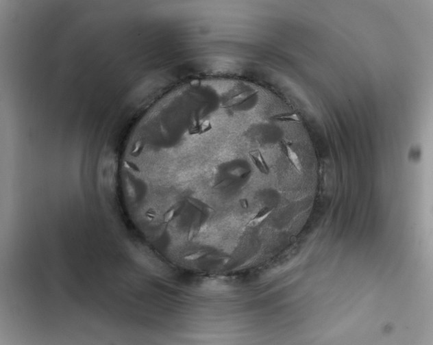 X0000102530550200808221907