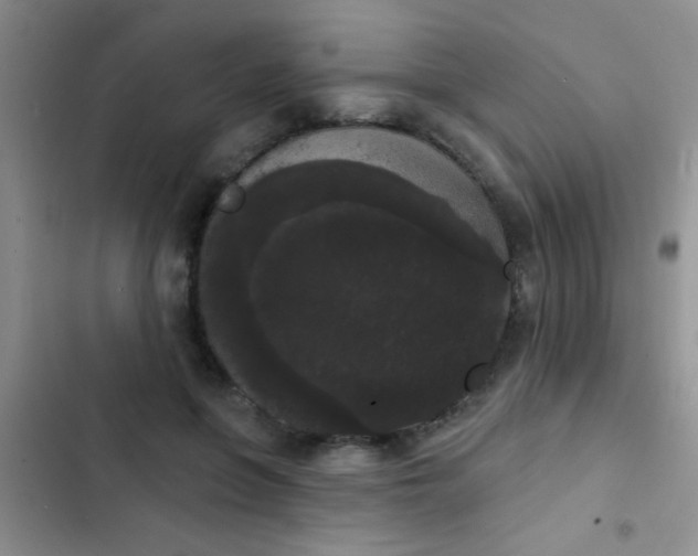 X0000102530551200808221907