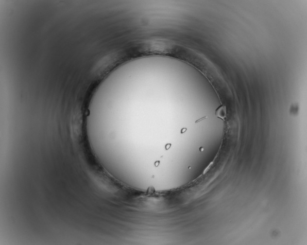 X0000102530552200808221907