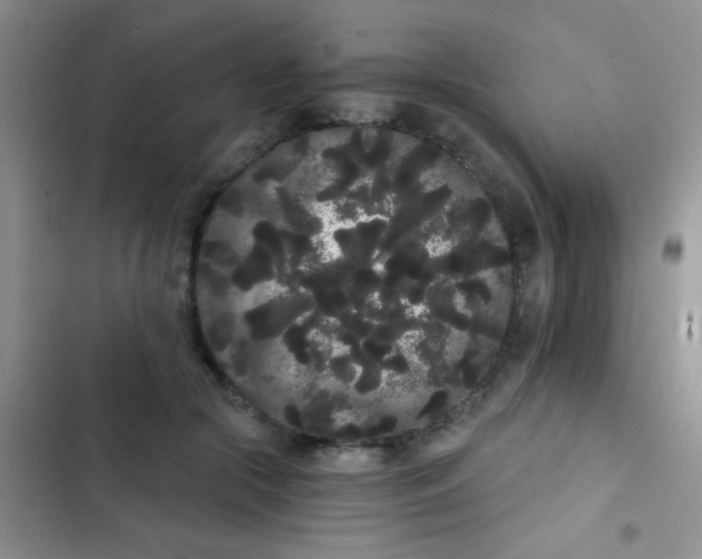 X0000102530553200808221907