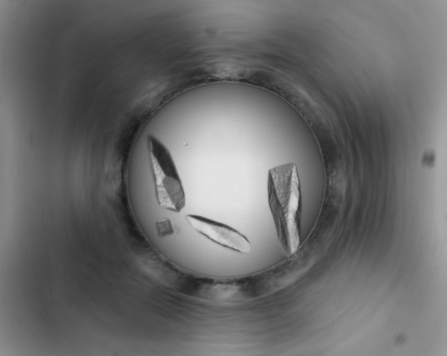 X0000102530554200808221907