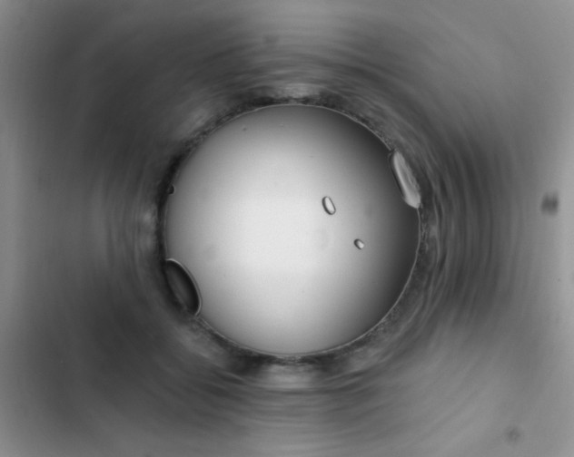 X0000102530556200808221907