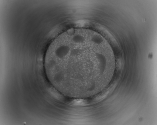 X0000102530557200808221907