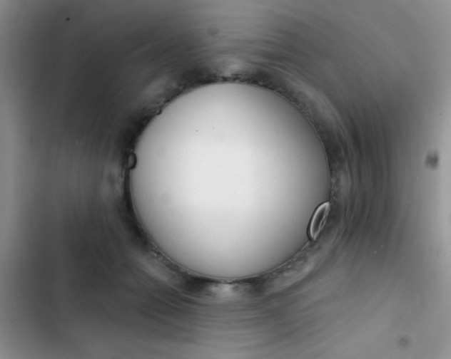 X0000102530558200808221907