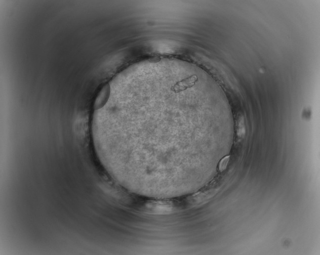 X0000102530559200808221907