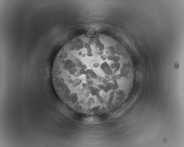 X0000102530561200808221908