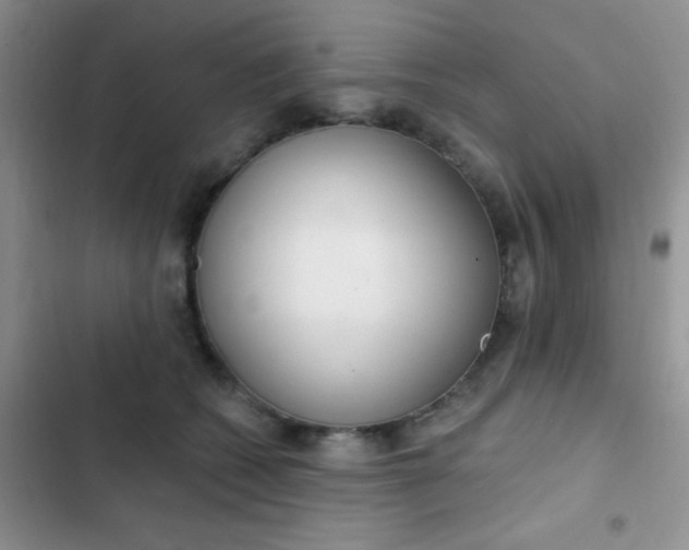 X0000102530562200808221908