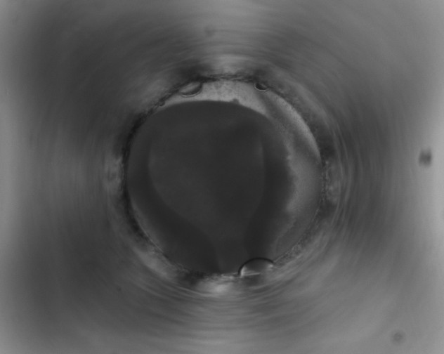 X0000102530563200808221908