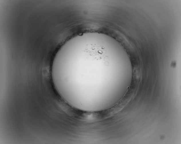 X0000102530564200808221908