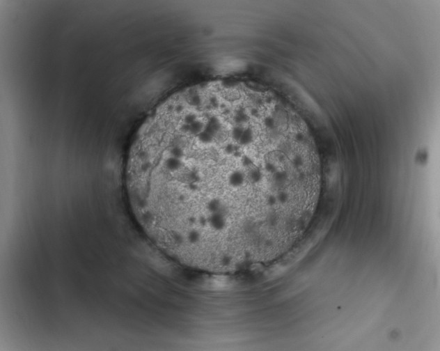 X0000102530565200808221908