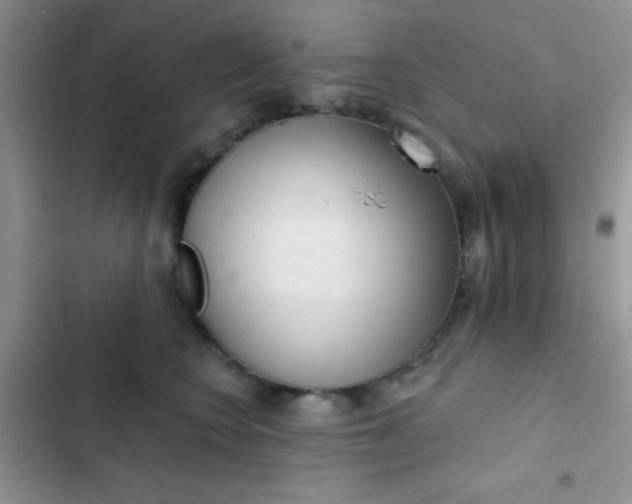 X0000102530566200808221908