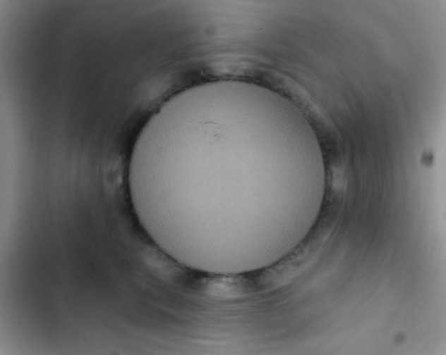 X0000102530567200808221908