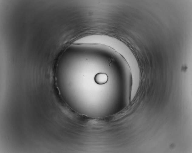 X0000102530568200808221908