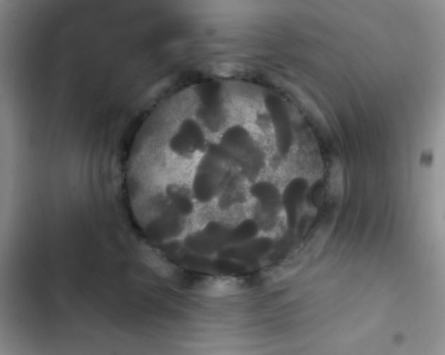 X0000102530569200808221908