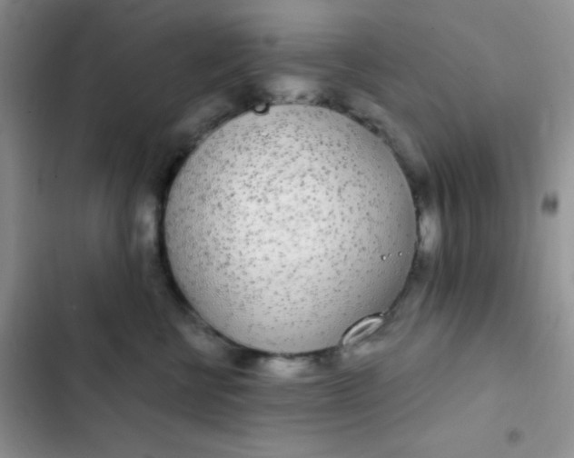 X0000102530570200808221908