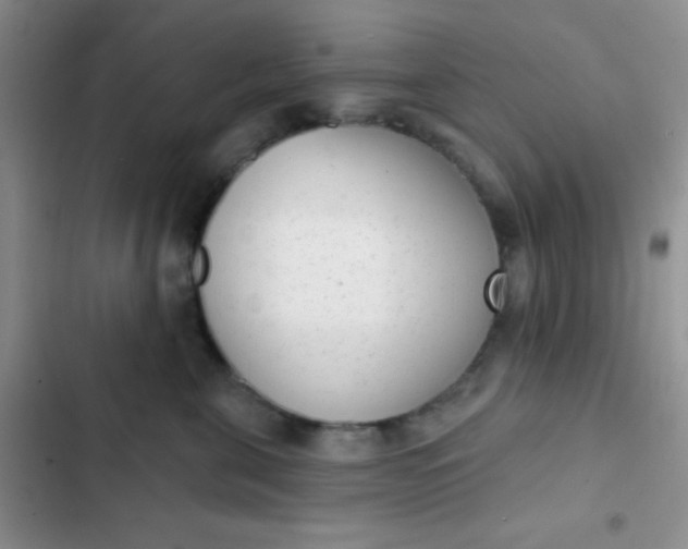 X0000102530571200808221908