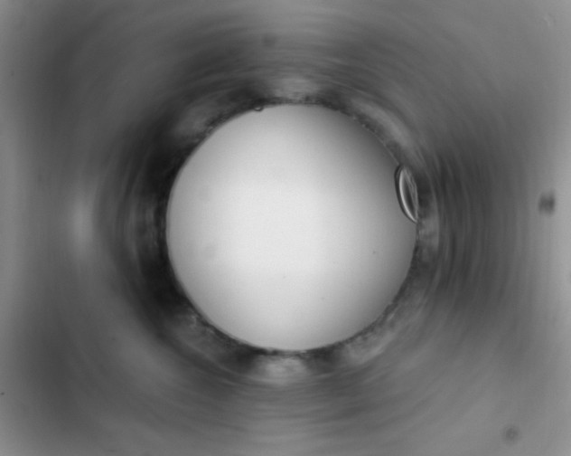 X0000102530572200808221908