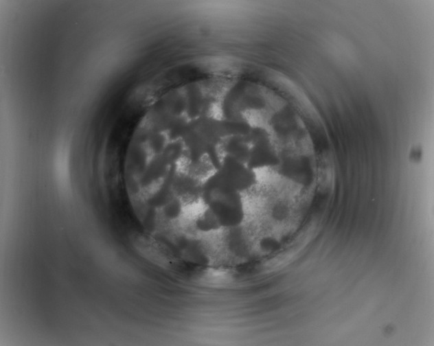 X0000102530573200808221908