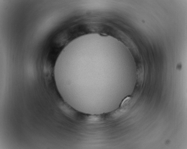 X0000102530574200808221908