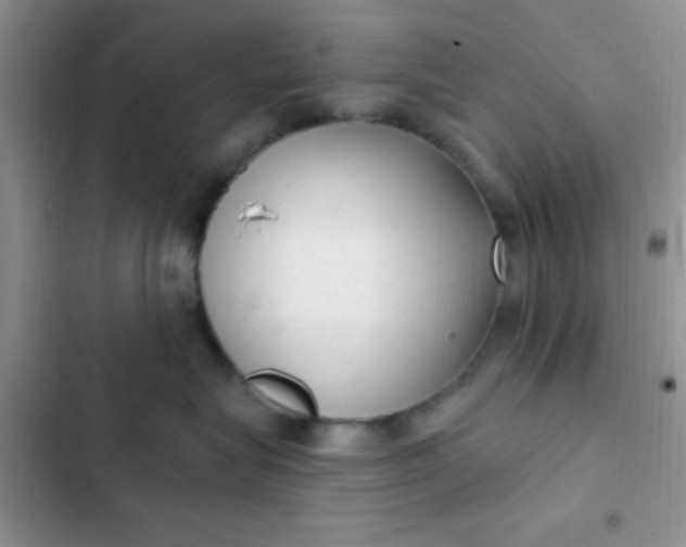 X0000102530575200808221908