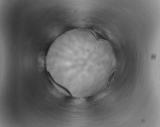 X0000102530576200808221908