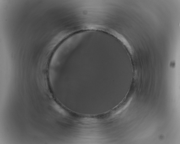 X0000102530577200808221907