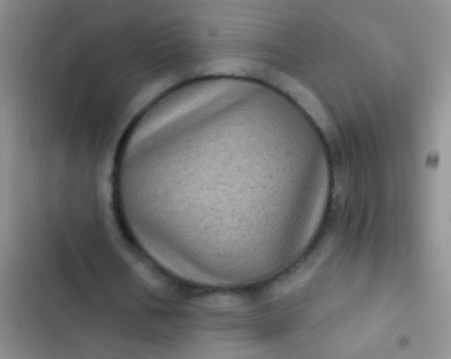 X0000102530578200808221907